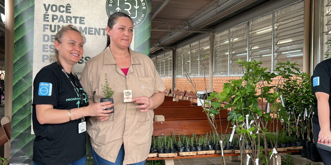 Grupo Ramarim doa mudas de árvores frutíferas, temperos e plantas medicinais para funcionários