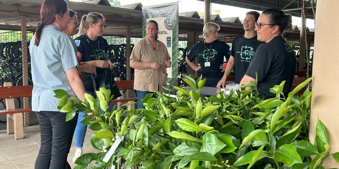 Grupo Ramarim doa mudas de árvores frutíferas, temperos e plantas medicinais para funcionários