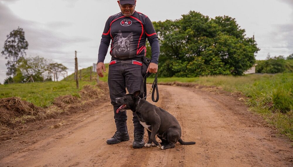 Cempra de Sapiranga realiza adestramento de cães que estão para adoção