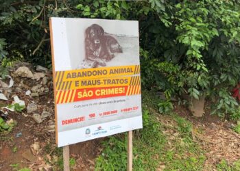 Campo Bom realiza ações pela 3ª Semana Municipal de Proteção e Bem-estar Animal