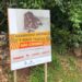 Campo Bom realiza ações pela 3ª Semana Municipal de Proteção e Bem-estar Animal