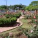 Parque do Imigrante estará fechado para preparativos da Festa das Rosas em Sapiranga