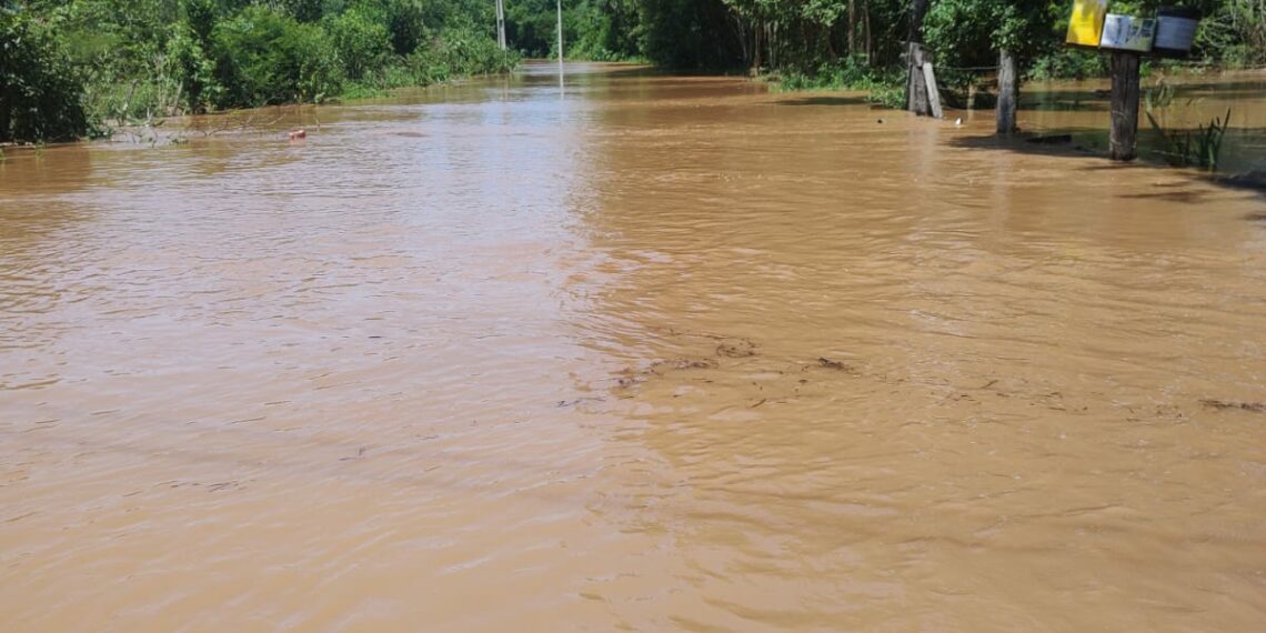 Rio dos Sinos transborda e alaga ruas de Sapiranga e Campo Bom