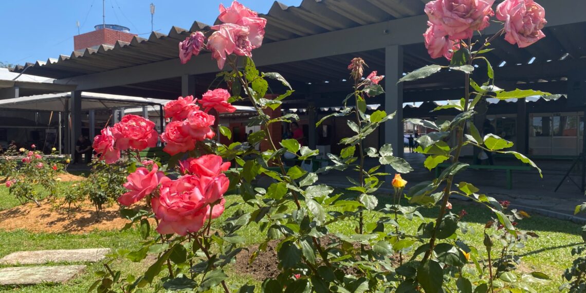 Garantindo lembranças da festa; comunidade terá estande para compra de rosas