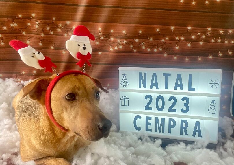 Cempra de Sapiranga realiza campanha natalina de adoção