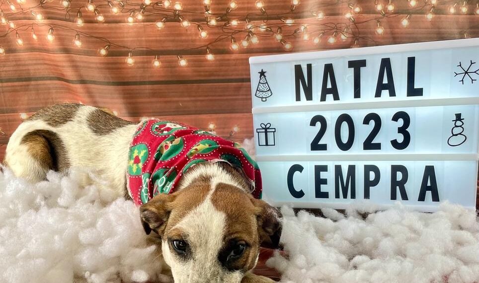 Cempra de Sapiranga realiza campanha natalina de adoção