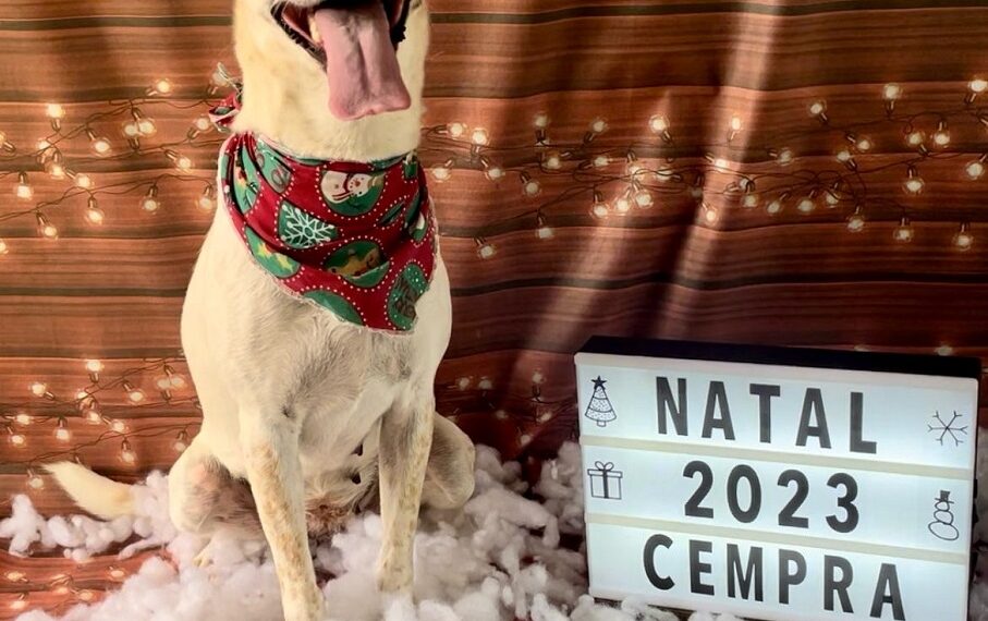 Cempra de Sapiranga realiza campanha natalina de adoção