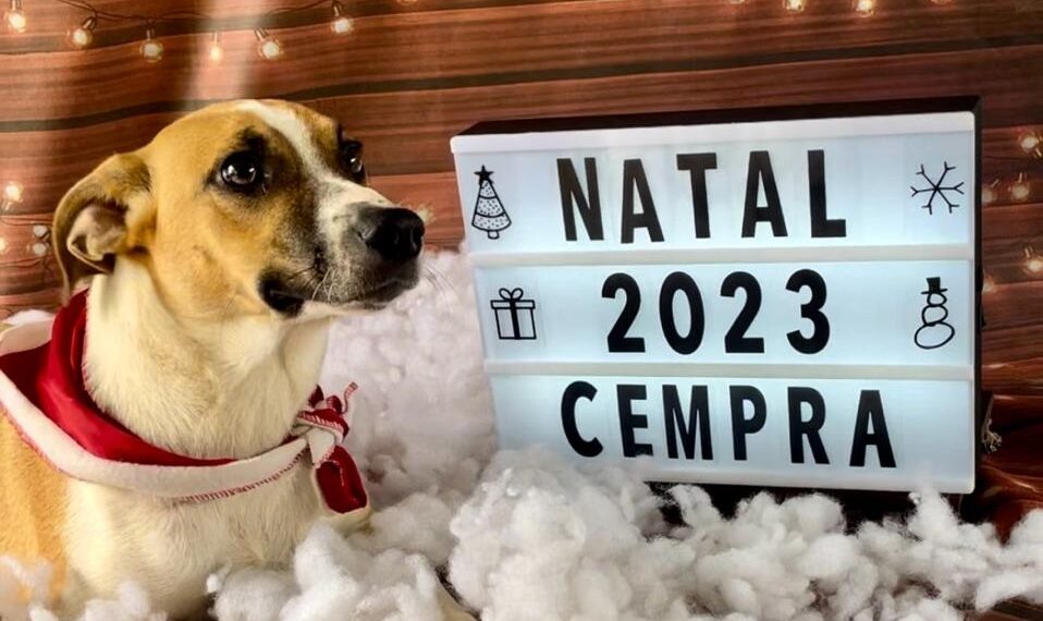 Cempra de Sapiranga realiza campanha natalina de adoção