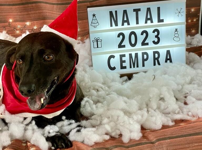 Cempra de Sapiranga realiza campanha natalina de adoção