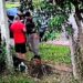 Comando da BM de Igrejinha divulga posicionamento após abordagem