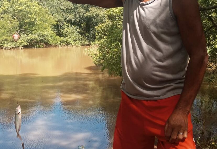 #65Anos: Rio dos Sinos é habitat natural para diversas espécies de peixes e atrai pescadores campo-bonenses