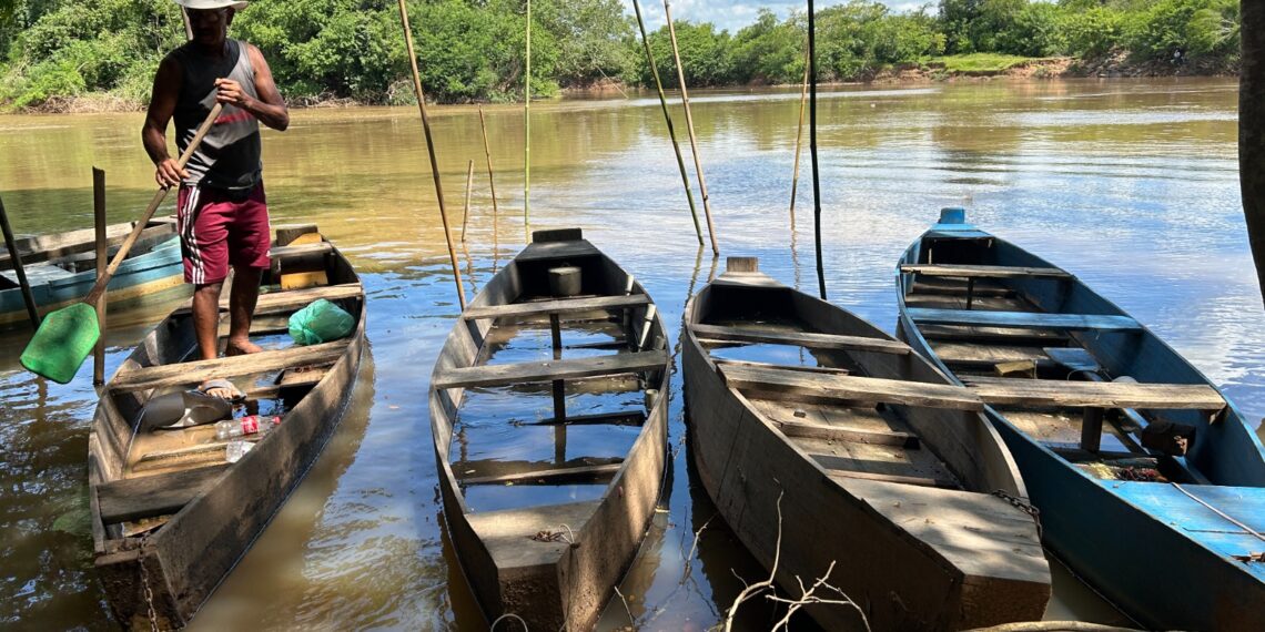 #65Anos: Rio dos Sinos é habitat natural para diversas espécies de peixes e atrai pescadores campo-bonenses