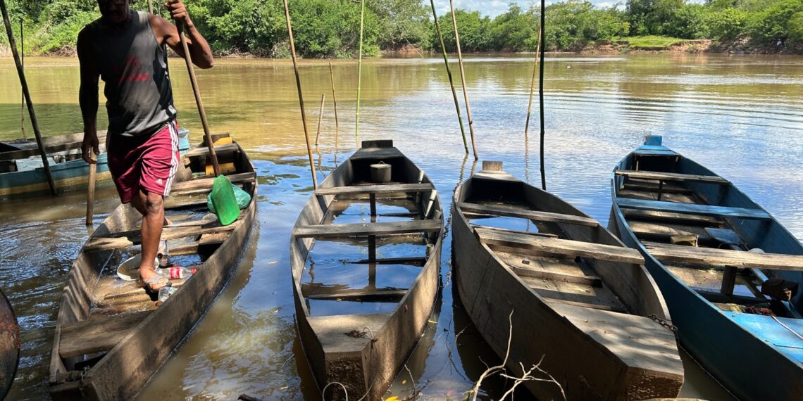 #65Anos: Rio dos Sinos é habitat natural para diversas espécies de peixes e atrai pescadores campo-bonenses