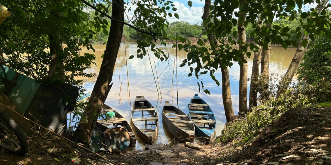 #65Anos: Rio dos Sinos é habitat natural para diversas espécies de peixes e atrai pescadores campo-bonenses
