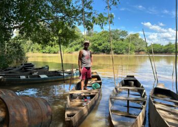 #65Anos: Rio dos Sinos é habitat natural para diversas espécies de peixes e atrai pescadores campo-bonenses