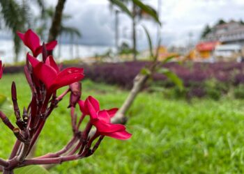 #65 Anos: Campo Bom de bem com o meio ambiente; ações desempenhadas por todo o município
