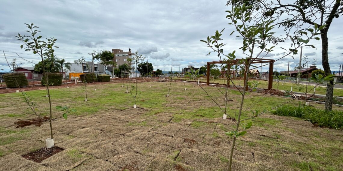 #65 Anos: Campo Bom de bem com o meio ambiente; ações desempenhadas por todo o município
