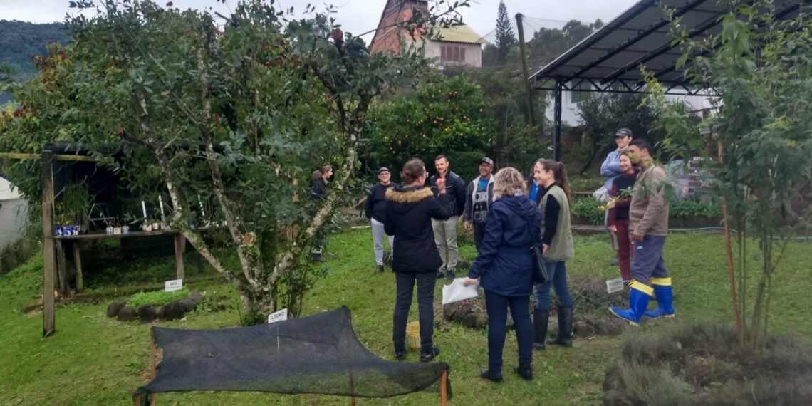Cemeam de Sapiranga anuncia o Projeto Coletivo Educador em 2024