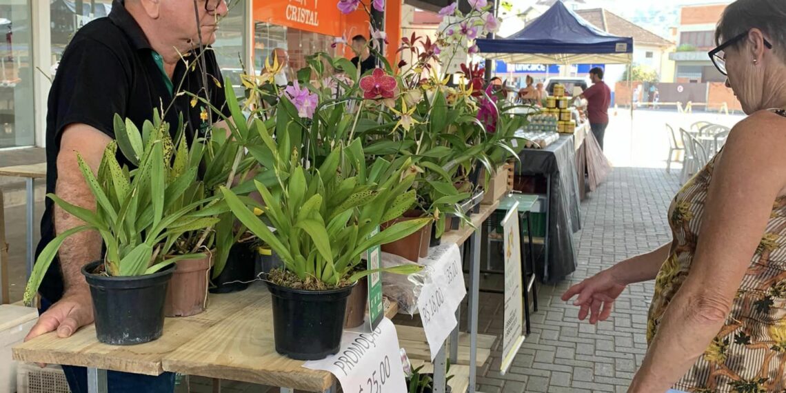 Primeira Feira da Agricutura Familiar na Rua Coberta
