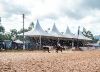 44º Rodeio Nacional de Campo Bom se aproxima