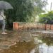 Prévia do Outono no Rio Grande do Sul