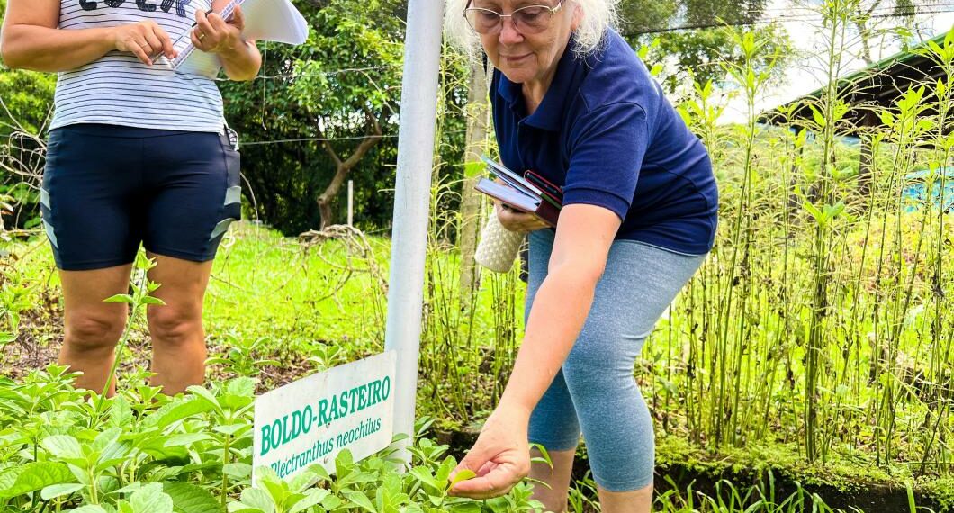Cemeam de Sapiranga oferece cursos gratuitos sobre plantas