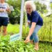 Cemeam de Sapiranga oferece cursos gratuitos sobre plantas
