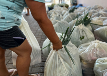 Prefeitura de Sapiranga distribui mais de 130 cestas de alimentos à comunidade