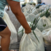 Prefeitura de Sapiranga distribui mais de 130 cestas de alimentos à comunidade