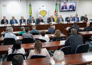 Assembleia vai liderar grupos de trabalho com CEEE e RGE