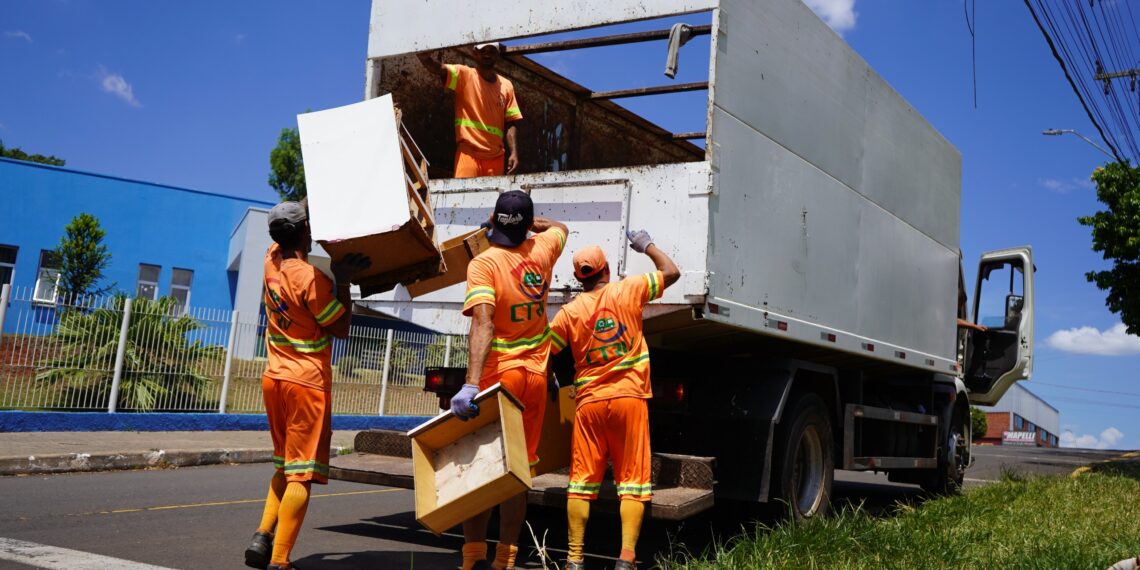 Dia do Conservacionismo Ambiental destaca a importância da preservação da natureza em Campo Bom