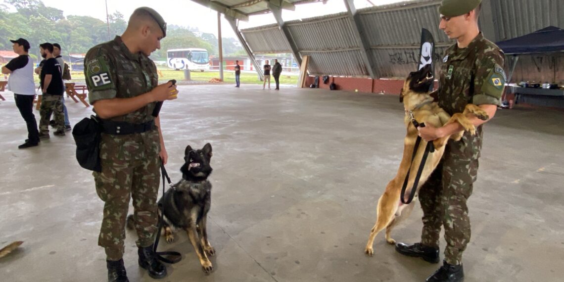 3º Torneio de Cães de Polícia reuniu dezenas de competidores no Parque do Imigrante, em Sapiranga
