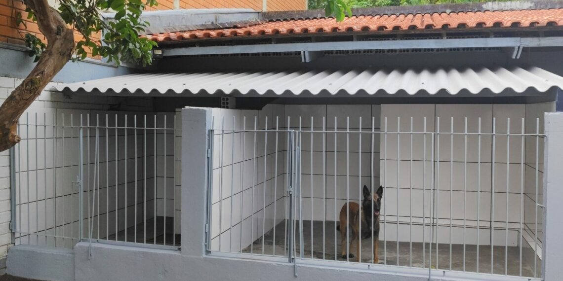 Canil da delegacia de Polícia Civil de Campo Bom recebe reforma