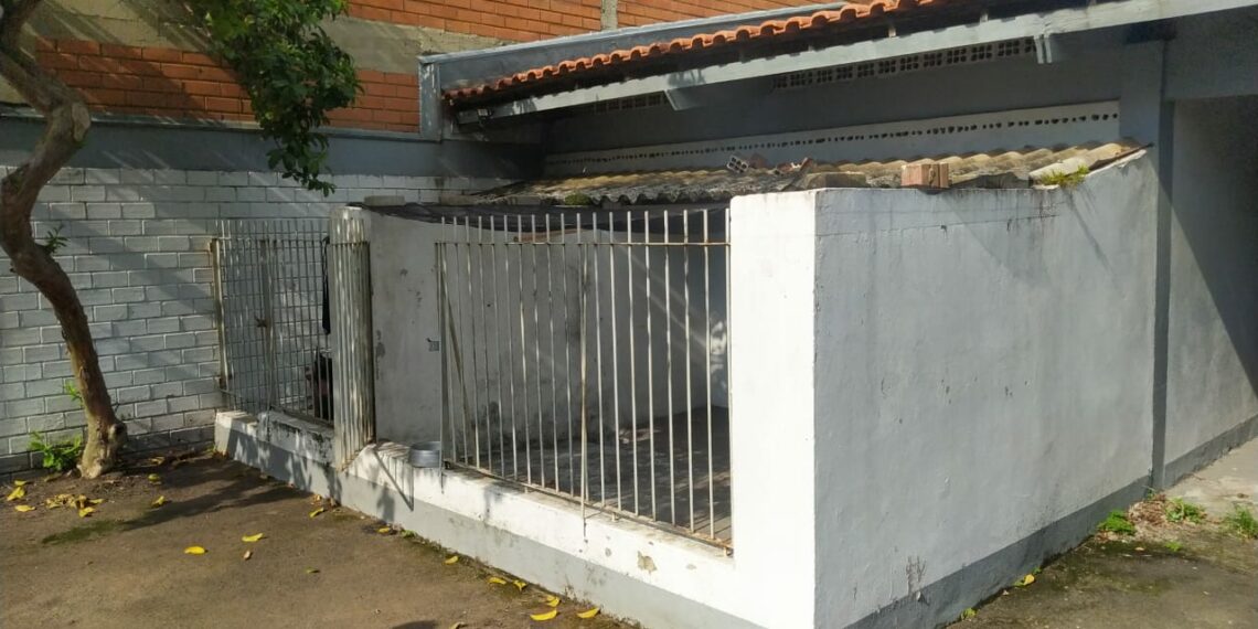 Canil da delegacia de Polícia Civil de Campo Bom recebe reforma