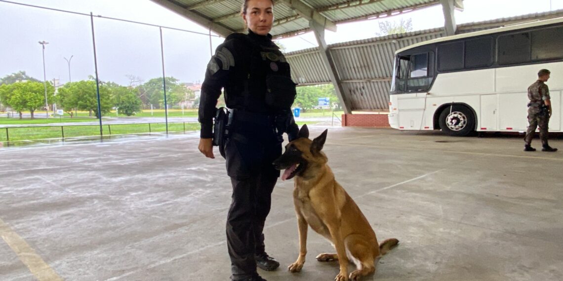 3º Torneio de Cães de Polícia reuniu dezenas de competidores no Parque do Imigrante, em Sapiranga