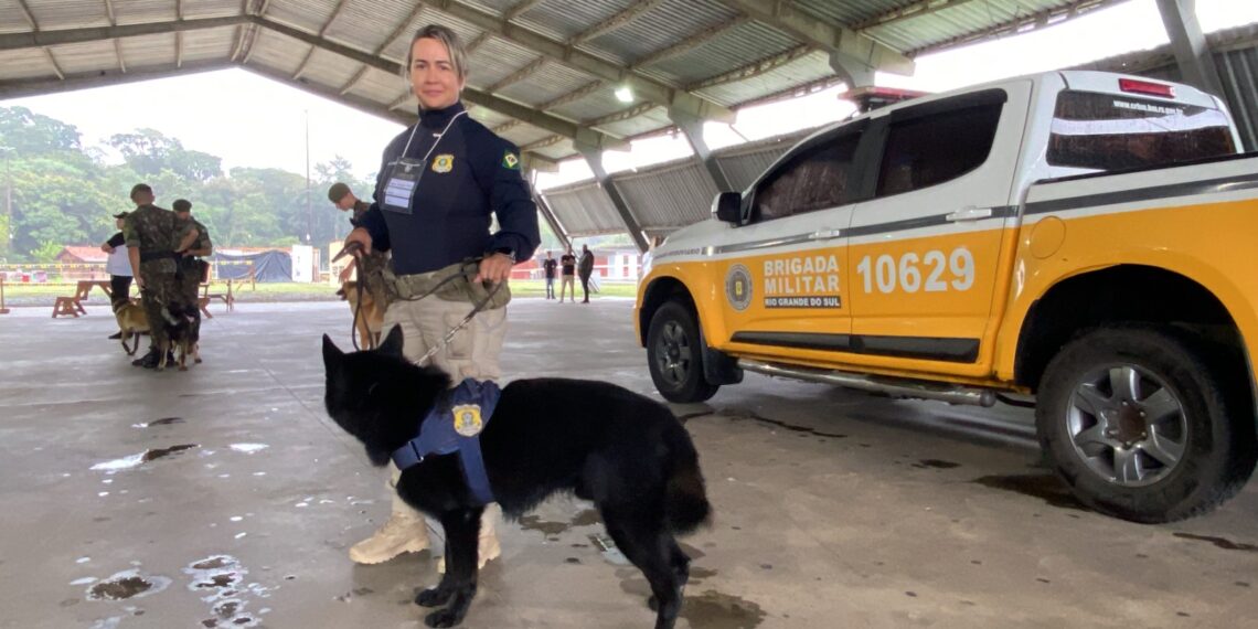 3º Torneio de Cães de Polícia reuniu dezenas de competidores no Parque do Imigrante, em Sapiranga