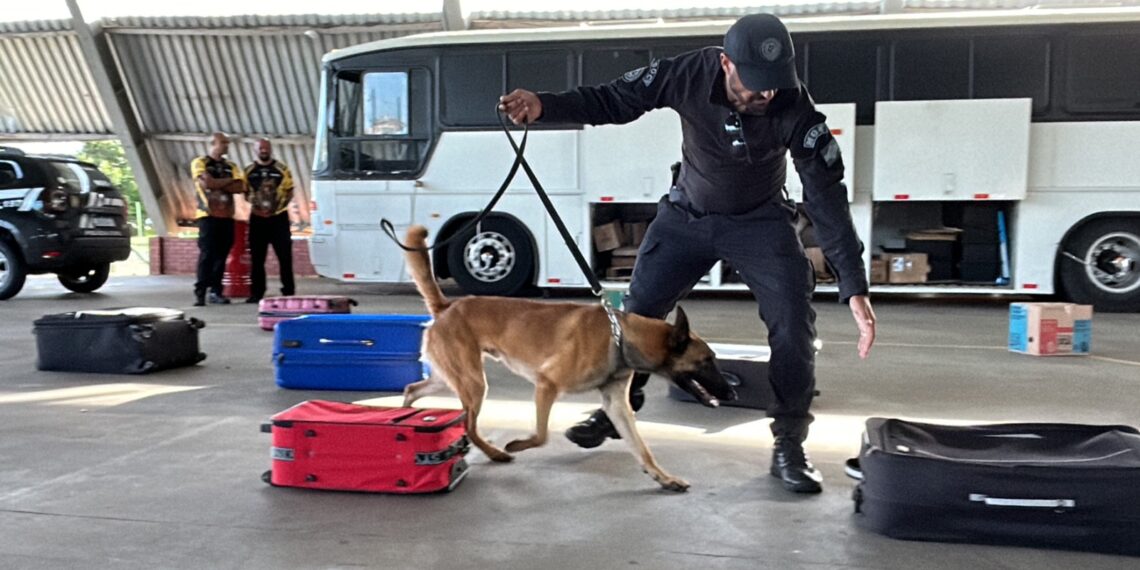 3º Torneio de Cães de Polícia reuniu dezenas de competidores no Parque do Imigrante, em Sapiranga