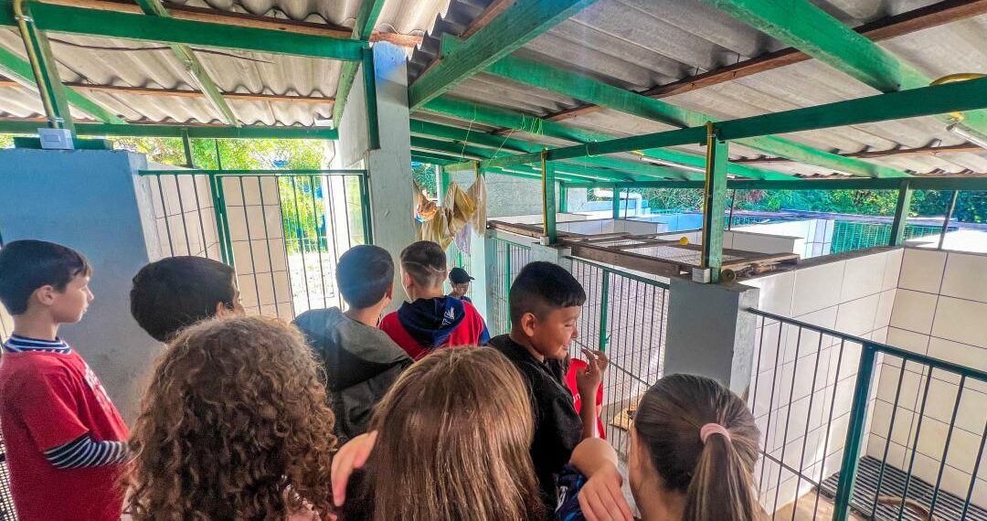 Cempra de Sapiranga recebe visita de estudantes para orientação com o bem-estar animal
