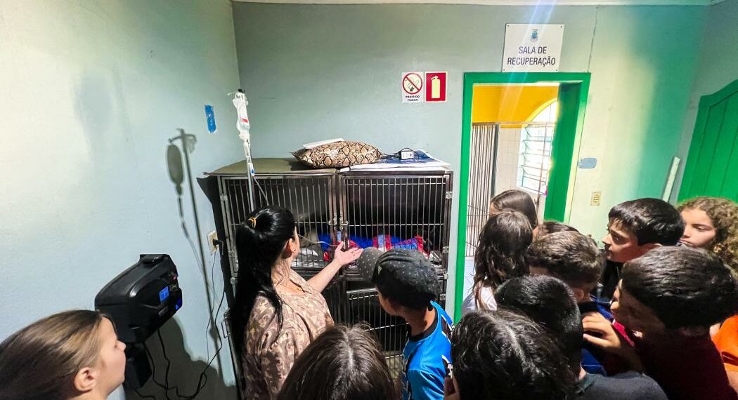 Cempra de Sapiranga recebe visita de estudantes para orientação com o bem-estar animal