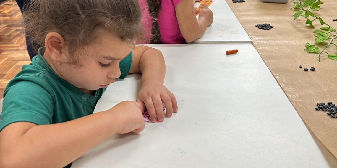 Educação em Tempo Integral é realidade na escola La Salle, em Sapiranga