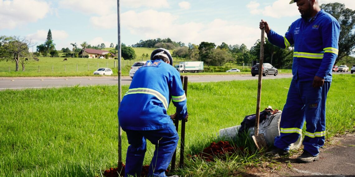 Inicia a instalação da iluminação do trecho de Campo Bom da RS-239