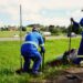 Inicia a instalação da iluminação do trecho de Campo Bom da RS-239