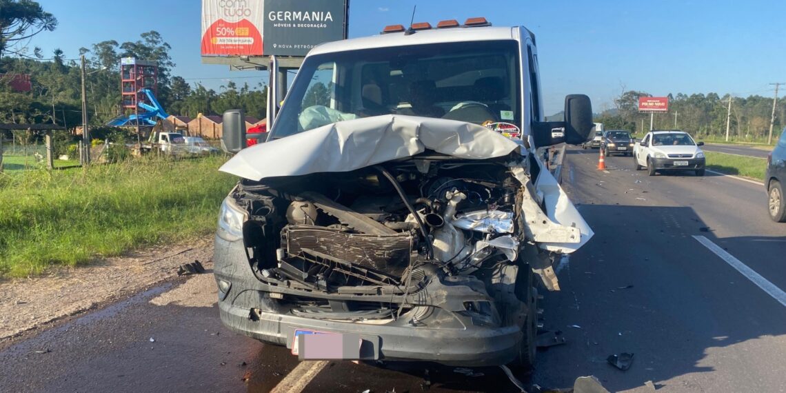 Bovino morre atropelado na RS-239, trecho de Araricá