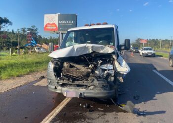 Bovino morre atropelado na RS-239, trecho de Araricá