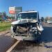 Bovino morre atropelado na RS-239, trecho de Araricá