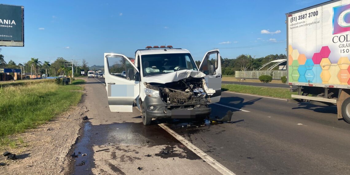 Bovino morre atropelado na RS-239, trecho de Araricá