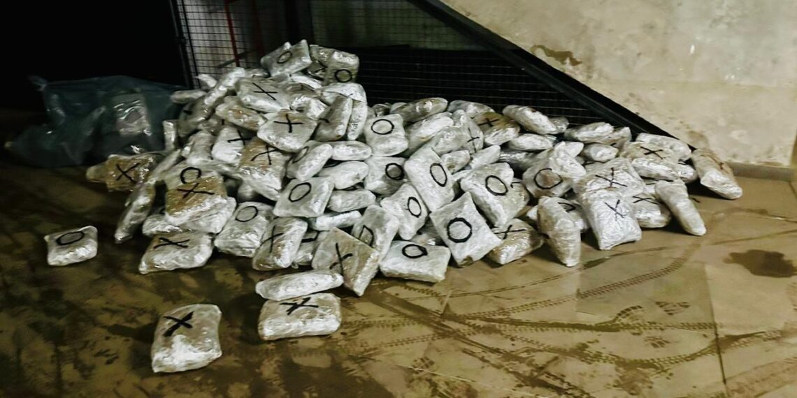Polícia Federal apreende 124 quilos de skunk na região