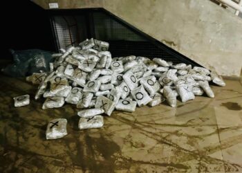 Polícia Federal apreende 124 quilos de skunk na região