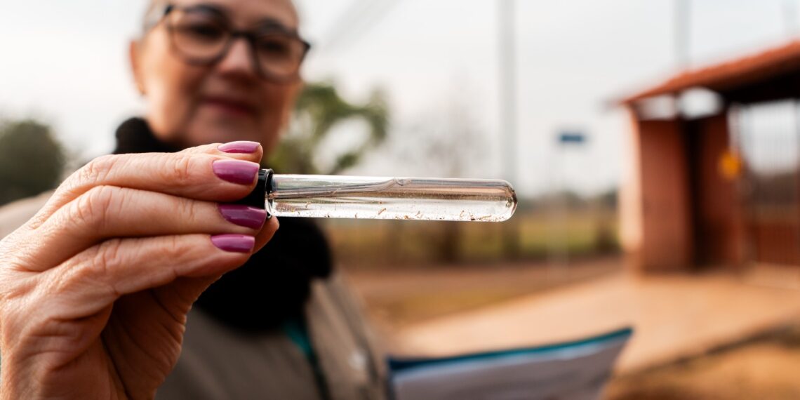 Campo Bom inicia mutirão de combate à dengue nas residências atingidas pela enchente