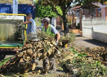 Calendário de recolhimento de resíduos e podas é reorganizado em Campo Bom